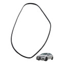 Borracha Porta Traseira Direita Chevrolet Cruze 2017 Usado Preto