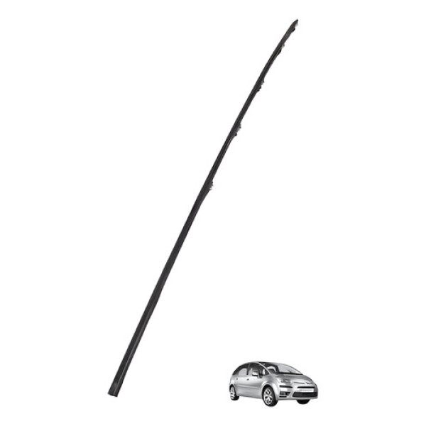 Friso Acabamento Teto Citroen C4 Picasso 2011 2012 Usado Preto