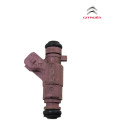 Bico Injetor Combustivel Injecao Citroen C3 1.4 8v 2008 2011