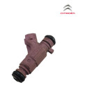 Bico Injetor Combustivel Injecao Citroen C3 1.4 8v 2008 2011