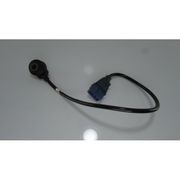 Sensor Detonação Chery Cielo 2010 Original 0261231204