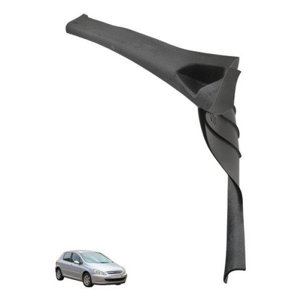 Soleira Porta Traseira Direita Peugeot 307 2005 2006 Preto