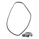 Borracha Porta Traseira Direita Chevrolet Cruze 2017 Usado Preto