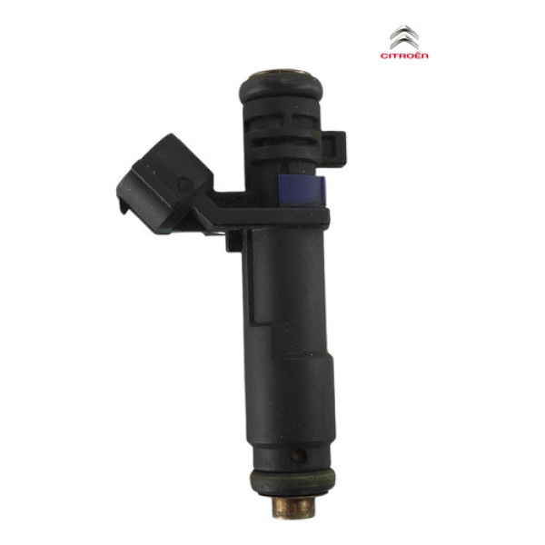Bico Injetor Gasolina Injecao Citroen C4 Picasso 2.0 2009