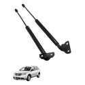 Par Amortecedor Tampa Traseira Dodge Journey 2010 2011