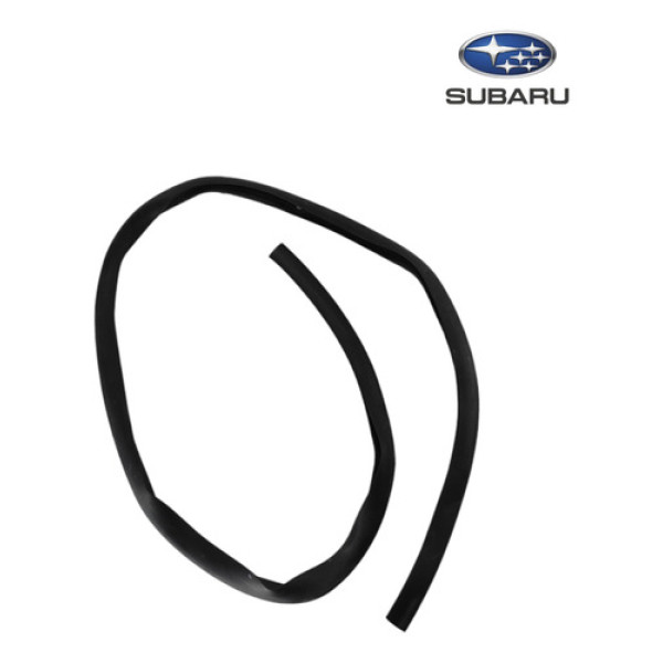 Borracha Guarnicao Capo Dianteiro Subaru Outback 2006