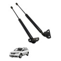 Par Amortecedor Tampa Traseira Dodge Journey 2010 2011
