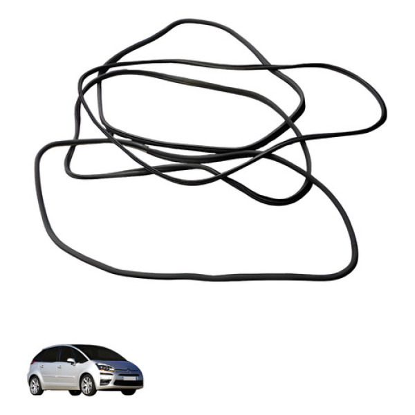 Kit Borracha Vedacao Portas Citroen C4 Picasso 2010