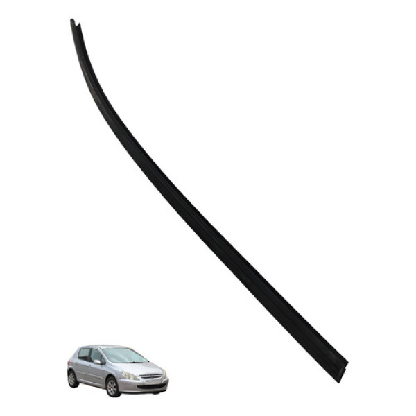 Pestana Porta Traseira Esquerda Peugeot 307 2005 2006