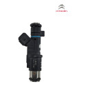 Bico Injetor Gasolina Injecao Citroen Xsara 2.0 2001 2006