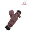 Bico Injetor Combustivel Injecao Citroen C3 1.4 8v 2008 2011