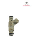 Bico Injetor Combustivel Injecao Citroen C3 1.6 2011 2014